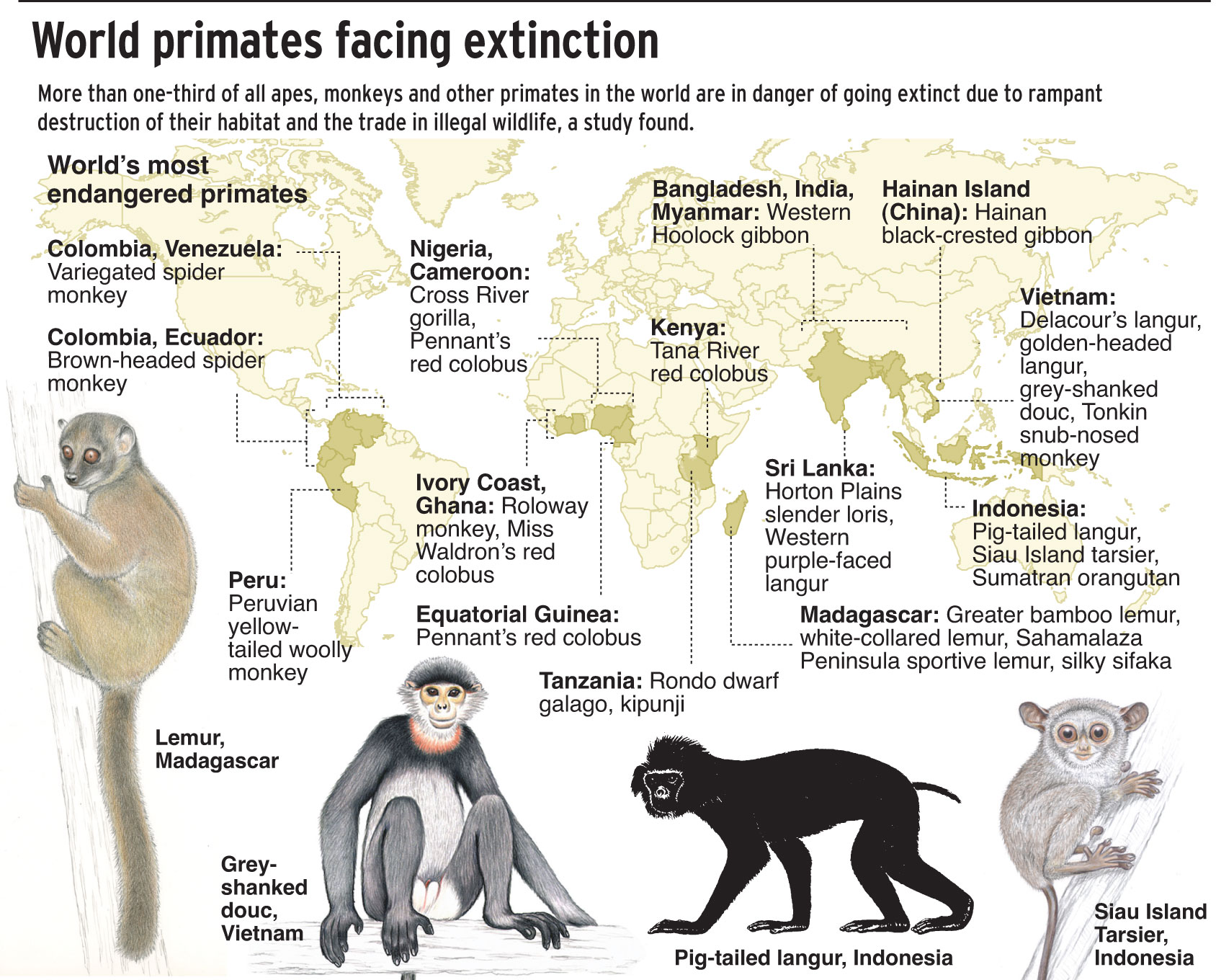 Extinction looms for some primates News, Sports, Jobs Lawrence